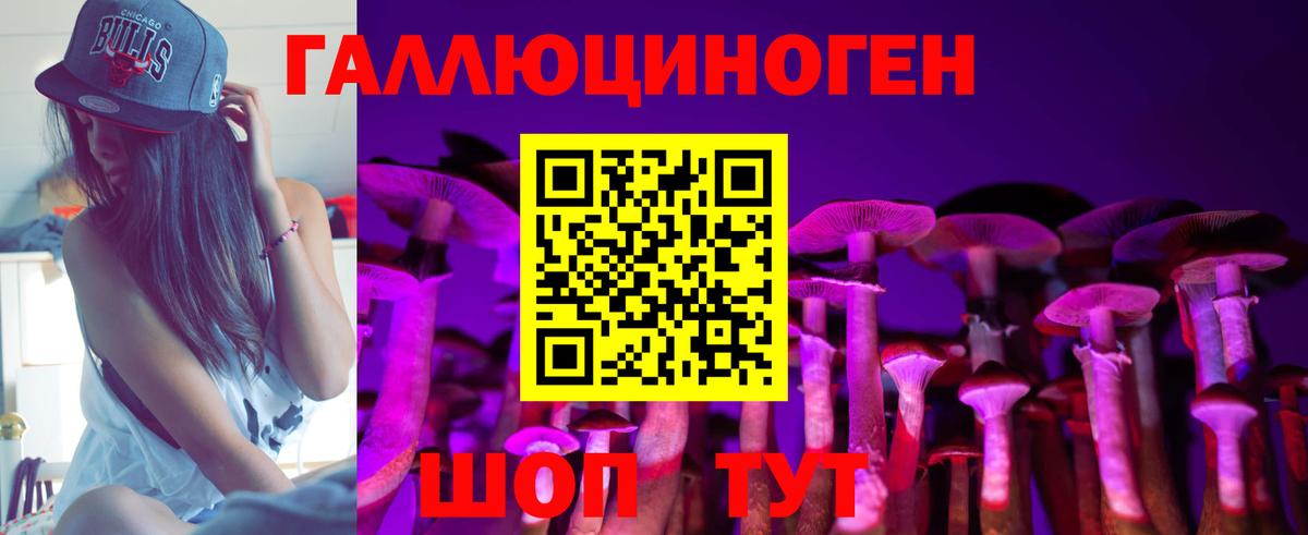 Оренбург  Галлюциногенные грибы GOLDEN TEACHER  Псилоцибиновые грибы Psilocybine cubensis  Вход с VPN 